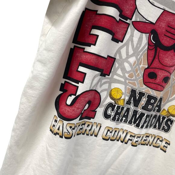 Chicago Bulls Graphic Tee Hollister Men’s Small NBA - Picture 3 of 6